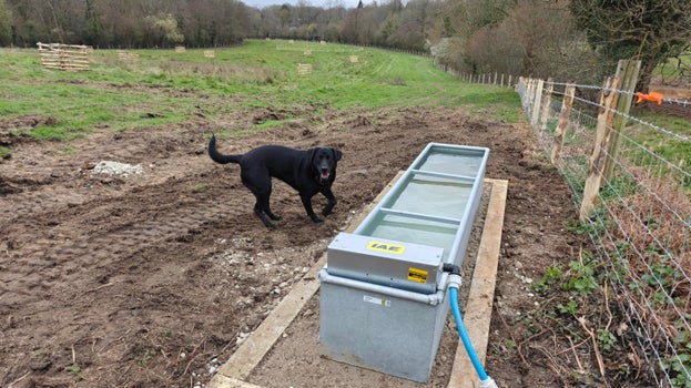 Image of a newly-installed grazing trough in a field with a black dog nearby